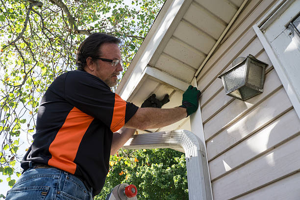 Professional Siding in Kalaheo, HI